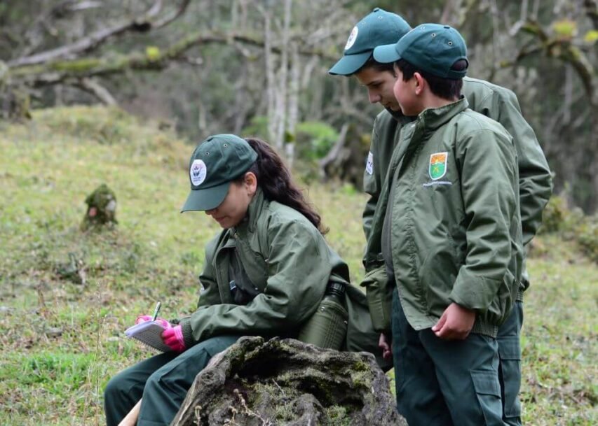 Programa protetor ambiental proa (1)