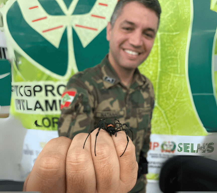 Portal verde (1)